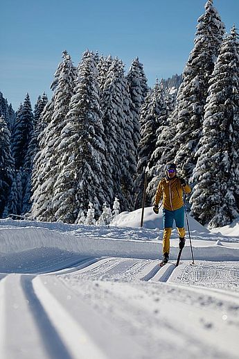 Skilehrer, Privatskilehrer, Langlauflehrer, Skischule, Freeride Gelände, Skikurs für Kinder und Erwachsene,  Skitouren, Gruppen, Langlaufschule, Skating-Lehrer, staatlich geprüfter Skilehrer Allgäu, Tirol, Vorarlberg. Winterlandschaft im Allgäu mit einer Langlaufloipe im Wald mit einem Langlauflehrer in Technik zum lernen.