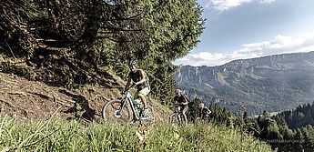 Bikeguide, MTB Guide, geführte Fahrradtouren im Allgäu, Techniklehrer, Fitnesstrainer, Funktionelles Training, Thai Yoga Massage, Ayurveda Ein Biker mit einer Gruppe von Radfahrern bei einer geführten Fahrradtour zum Biken im Allgäu. Anstieg mit dem Mountainbike auf einem Trail mit Technikkurs.